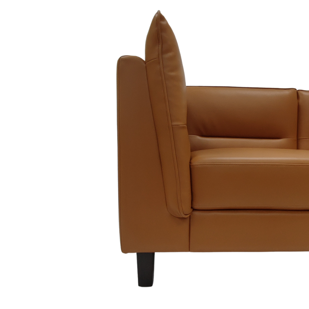 Phino 2 Seater Sofa